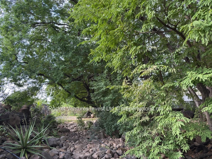 Your Ultimate Retreat: Luxurious Nature-Themed Villa Awaits!