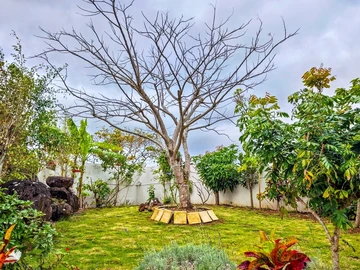 3 Bedroom Villa