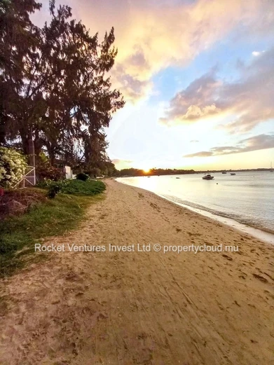 Live your luxury life right here right now