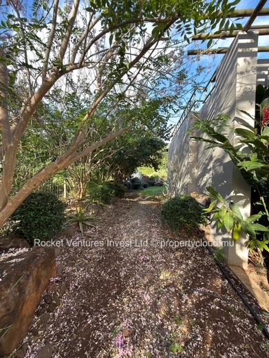 Your Ultimate Retreat: Luxurious Nature-Themed Villa Awaits!